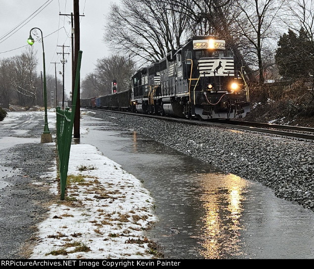 NS 5664